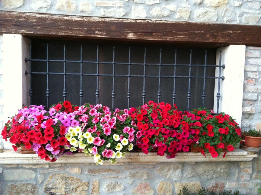 Agriturismo La Cantina 아스콜리피체노 외부 사진